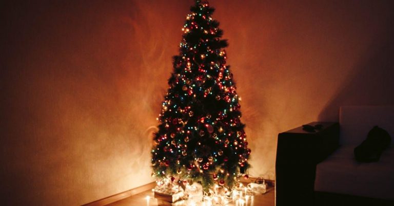 Tips til at købe juletræ: En komplet guide